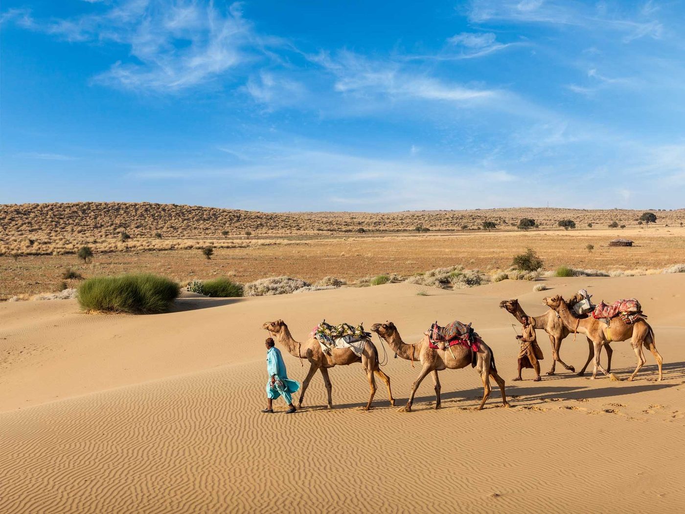 Camel safari on the Sam Sand Dunes near Jaisalmer, Thar Desert